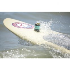 Other Toadfish Outfitters Non-Tipping Stainless Steel Can Cooler/Stubby Cooler -Reels outlet store TFCCOOLER WHITE 5